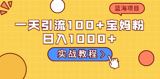 一天引流100+宝妈粉，日入1000+的蓝海项目（实战教程）-海淘下载站