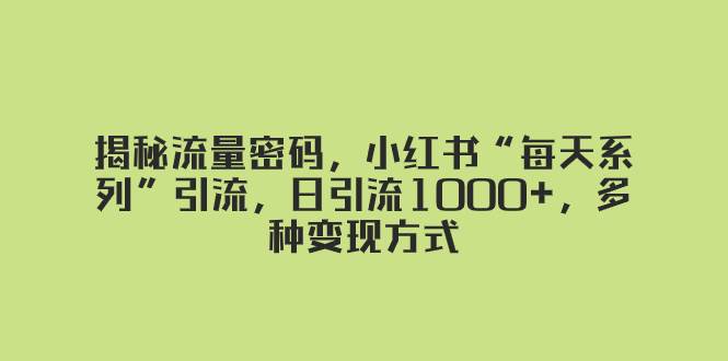 揭秘流量密码,小红书“每天系列”引流,日引流1000+,多种变现方式-海淘下载站
