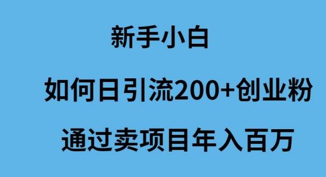 新手小白如何日引流200+创业粉通过卖项目年入百万-海淘下载站