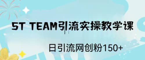ST TEAM引流实操课,日引流网创粉100+-海淘下载站