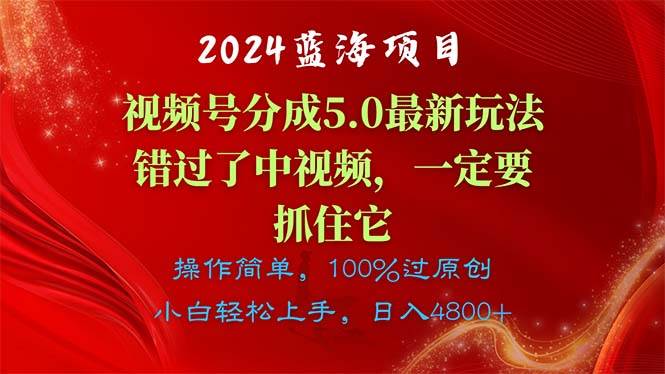 2024蓝海项目，视频号分成计划5.0最新玩法，错过了中视频，一定要抓住…-海淘下载站