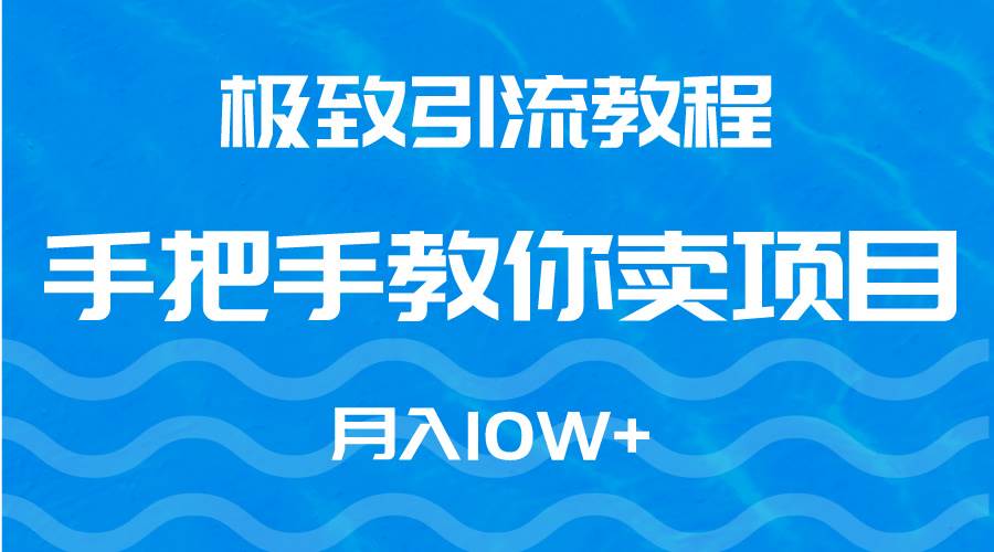 极致引流教程,手把手教你卖项目,月入10W+-海淘下载站
