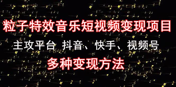 《粒子特效音乐短视频变现项目》主攻平台 抖音、快手、视频号 多种变现方法-海淘下载站