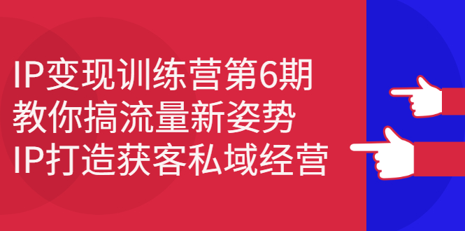 IP变现训练营第6期：教你搞流量新姿势，IP打造获客私域经营-海淘下载站