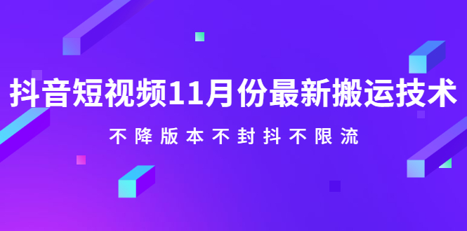 抖音短视频11月份最新搬运技术，不降版本不封抖不限流！【视频课程】-海淘下载站