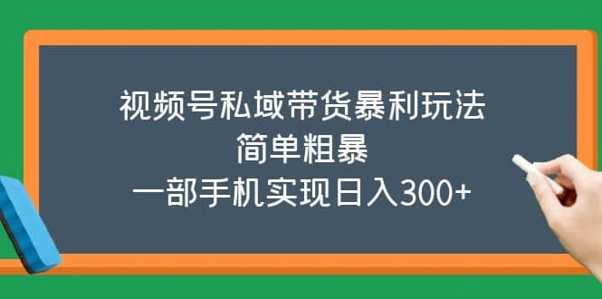 视频号私域带货暴利玩法，简单粗暴-海淘下载站