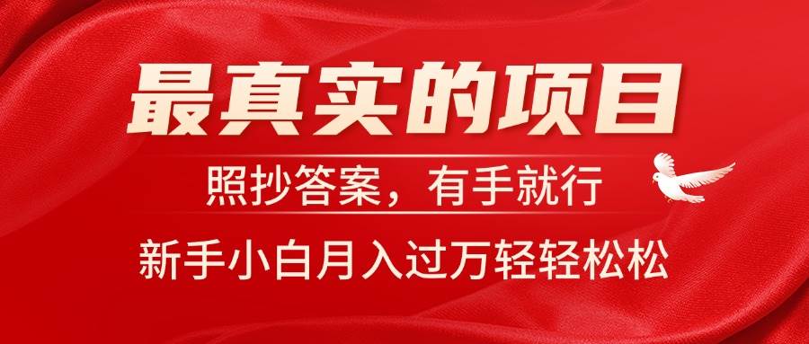 最真实的项目，照抄答案，有手就行，新手小白月入过万轻轻松松-海淘下载站