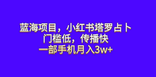 蓝海项目，小红书塔罗占卜，门槛低，传播快，一部手机月入3w+-海淘下载站
