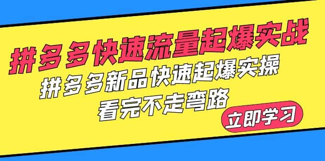 拼多多-快速流量起爆实战，拼多多新品快速起爆实操，看完不走弯路-海淘下载站