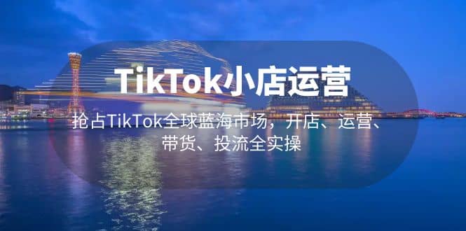 TikTok小店运营 抢占TikTok全球蓝海市场，开店、运营、带货、投流全实操-海淘下载站