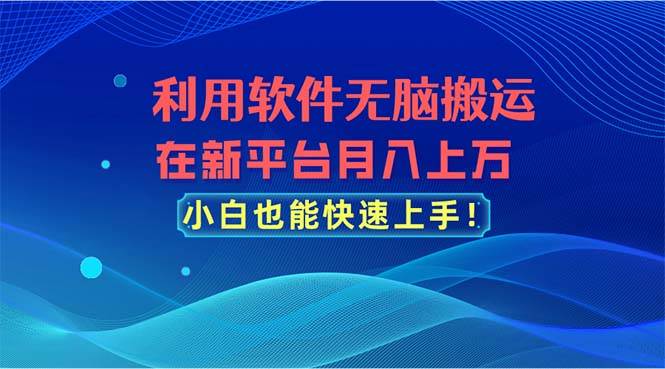 利用软件无脑搬运，在新平台月入上万，小白也能快速上手-海淘下载站