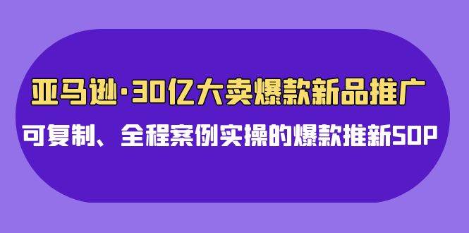 亚马逊30亿·大卖爆款新品推广，可复制、全程案例实操的爆款推新SOP-海淘下载站