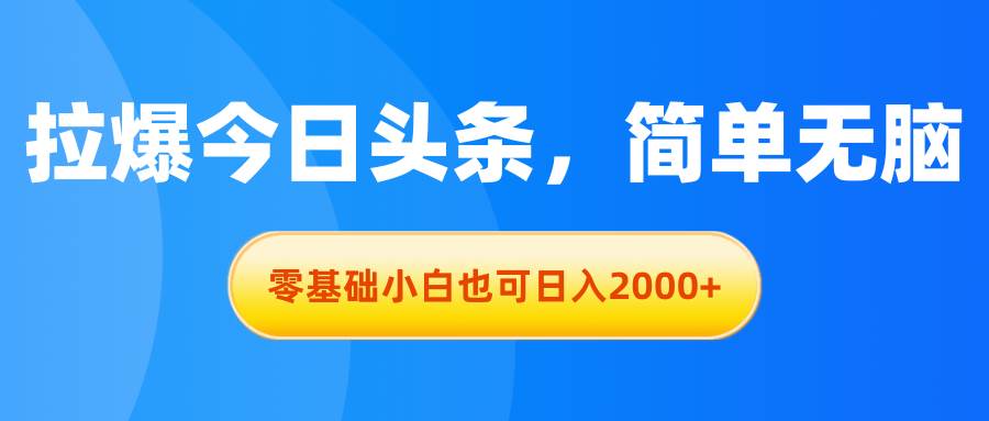 拉爆今日头条，简单无脑，零基础小白也可日入2000+-海淘下载站