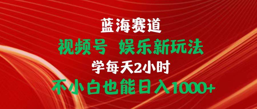 蓝海赛道视频号 娱乐新玩法每天2小时小白也能日入1000+-海淘下载站