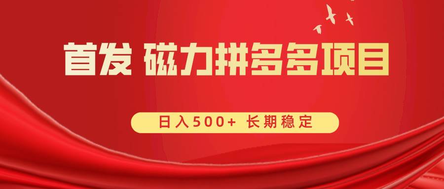 首发 磁力拼多多自撸  日入500+-海淘下载站