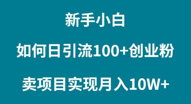 新手小白如何通过卖项目实现月入10W+-海淘下载站