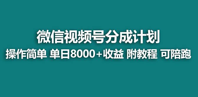 【蓝海项目】视频号分成计划，单天收益8000+，附玩法教程！可陪跑-海淘下载站