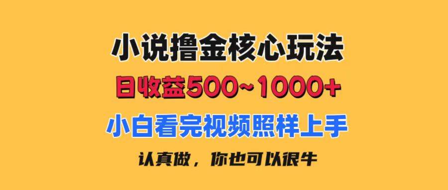 小说撸金核心玩法，日收益500-1000+，小白看完照样上手，0成本有手就行-海淘下载站