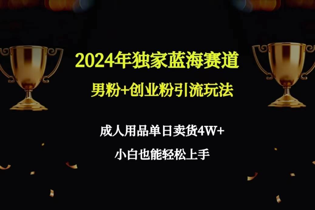 2024年独家蓝海赛道男粉+创业粉引流玩法，成人用品单日卖货4W+保姆教程-海淘下载站