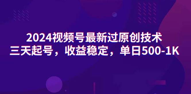 2024视频号最新过原创技术，三天起号，收益稳定，单日500-1K-海淘下载站