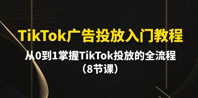 TikTok广告投放入门教程，从0到1掌握TikTok投放的全流程（8节课）-海淘下载站