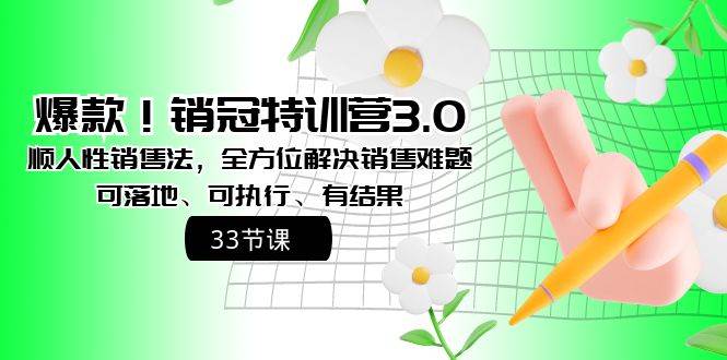 爆款！销冠特训营3.0之顺人性销售法，全方位解决销售难题、可落地、可执行、有结果-海淘下载站