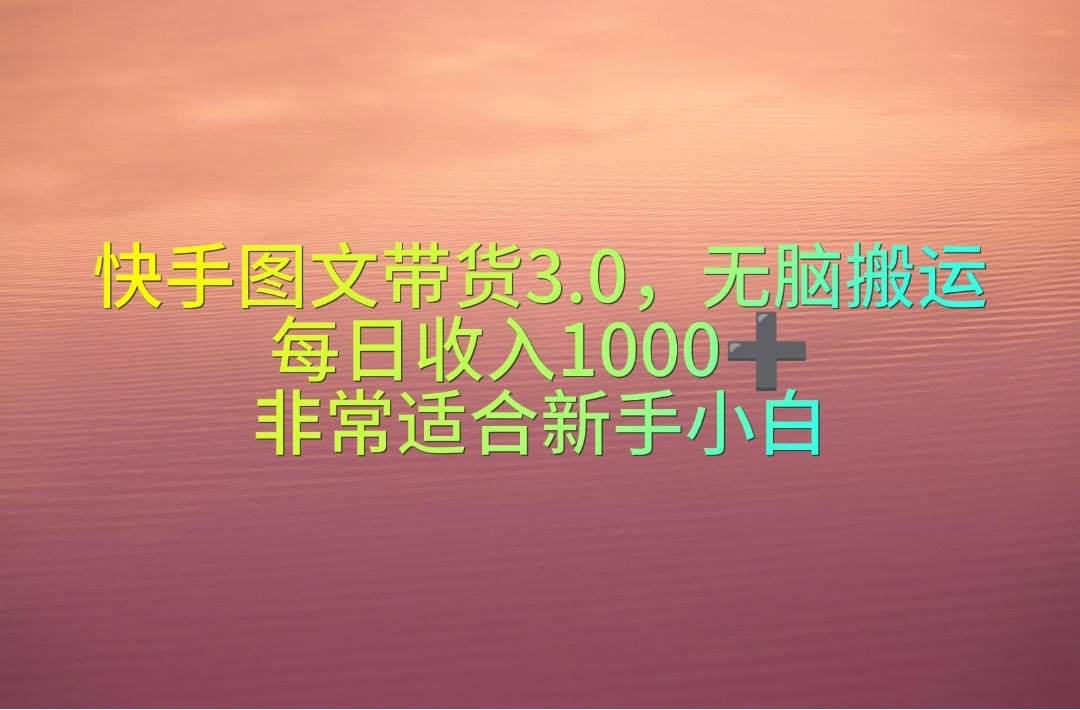 快手图文带货3.0，无脑搬运，每日收入1000＋，非常适合新手小白-海淘下载站