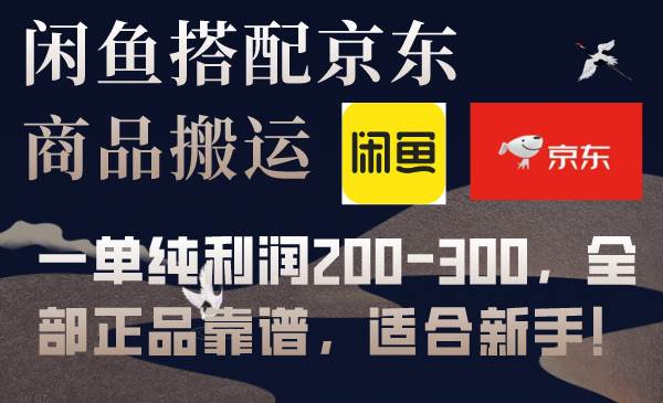 闲鱼搭配京东备份库搬运，一单纯利润200-300，全部正品靠谱，适合新手！-海淘下载站