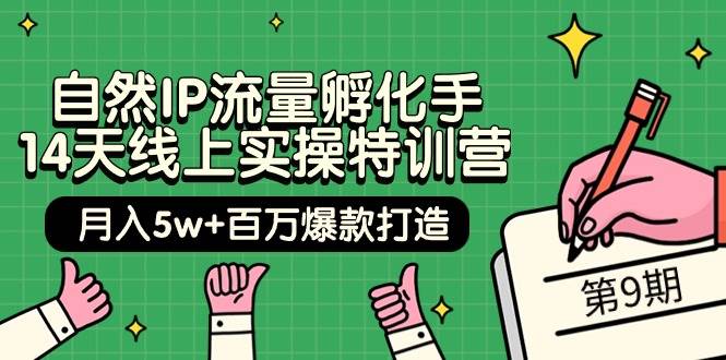 自然IP流量孵化手 14天线上实操特训营【第9期】月入5w+百万爆款打造 (74节)-海淘下载站