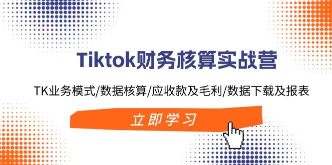 Tiktok财务核算实战营：TK业务模式/数据核算/应收款及毛利/数据下载及报表-海淘下载站
