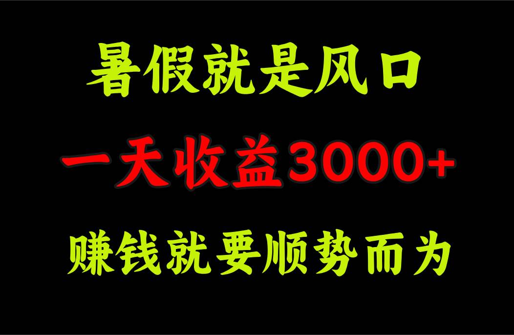 一天收益3000+ 赚钱就是顺势而为，暑假就是风口-海淘下载站