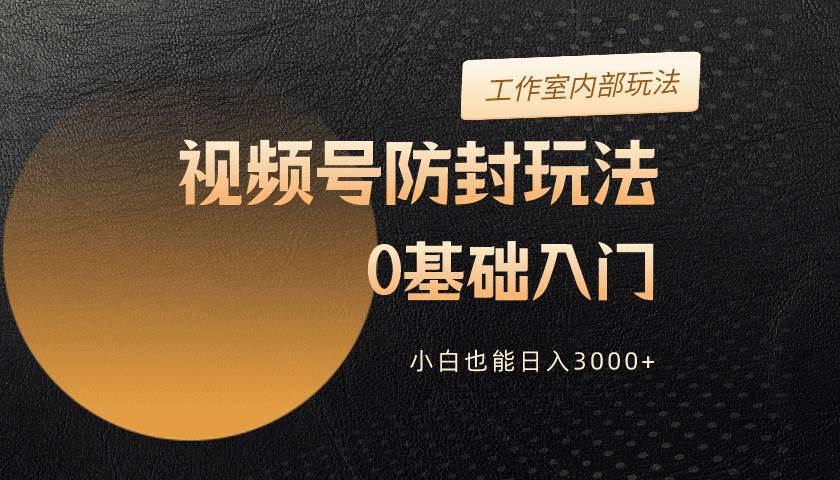 2024视频号升级防封玩法，零基础入门，小白也能日入3000+-海淘下载站