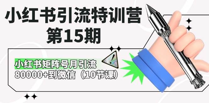 小红书引流特训营-第15期，小红书矩阵号月引流80000+到微信（10节课）-海淘下载站