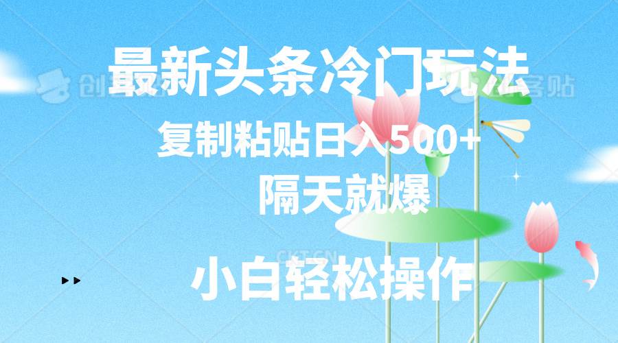 最新头条冷门玩法，隔天就爆，复制粘贴日入500+-海淘下载站