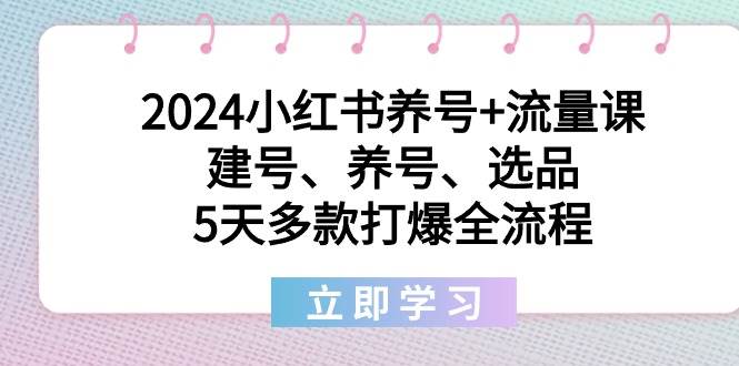 2024小红书养号+流量课:建号、养号、选品,5天多款打爆全流程-海淘下载站