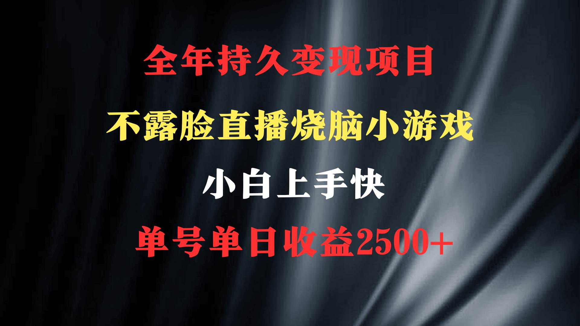 2024年 最优项目，烧脑小游戏不露脸直播  小白上手快 无门槛 一天收益2500+-海淘下载站