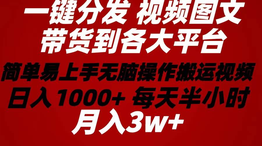 2024年 一键分发带货图文视频  简单易上手 无脑赚收益 每天半小时日入1…-海淘下载站