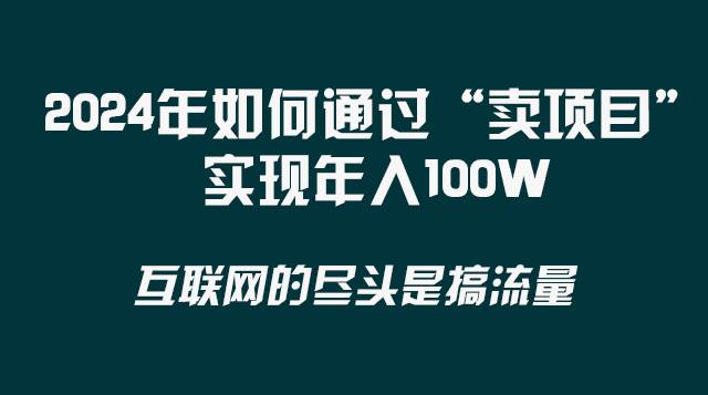 2024年如何通过“卖项目”实现年入100W-海淘下载站