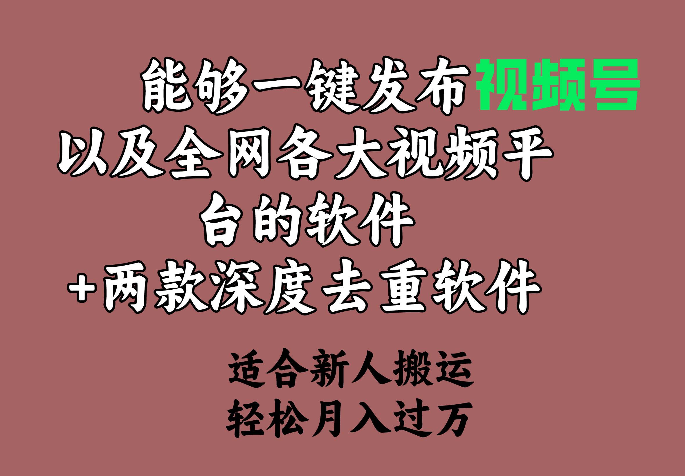 能够一键发布视频号以及全网各大视频平台的软件+两款深度去重软件 适合...-海淘下载站