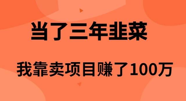 当了3年韭菜，我靠卖项目赚了100万-海淘下载站