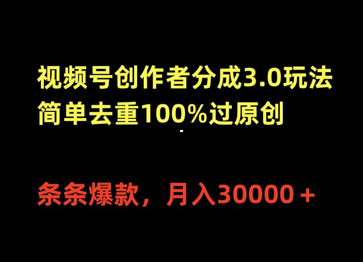视频号创作者分成3.0玩法，简单去重100%过原创，条条爆款，月入30000＋-海淘下载站