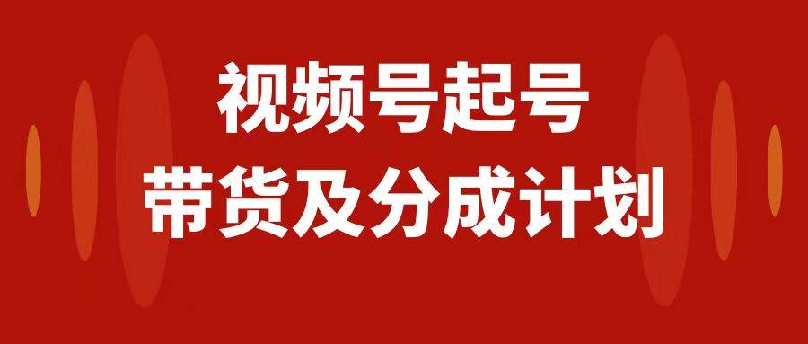 视频号快速起号，分成计划及带货，0-1起盘、运营、变现玩法，日入1000+-海淘下载站