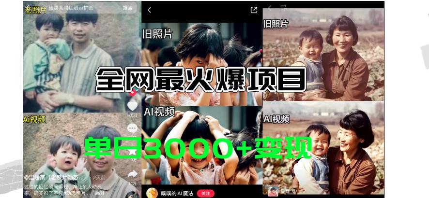 全网爆火的AI让老照片动起来教程，蹭热点日赚3000+，内含免费工具一键...-海淘下载站