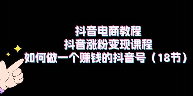 抖音电商教程：抖音涨粉变现课程：如何做一个赚钱的抖音号（18节）-海淘下载站