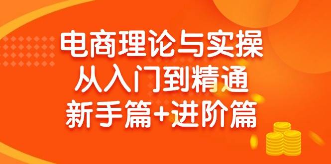 电商理论与实操从入门到精通 新手篇+进阶篇-海淘下载站