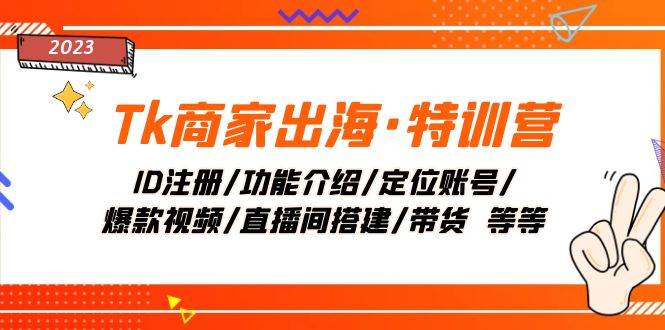 Tk商家出海·特训营：ID注册/功能介绍/定位账号/爆款视频/直播间搭建/带货-海淘下载站