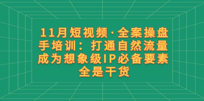11月短视频·全案操盘手培训：打通自然流量 成为想象级IP必备要素 全是干货-海淘下载站