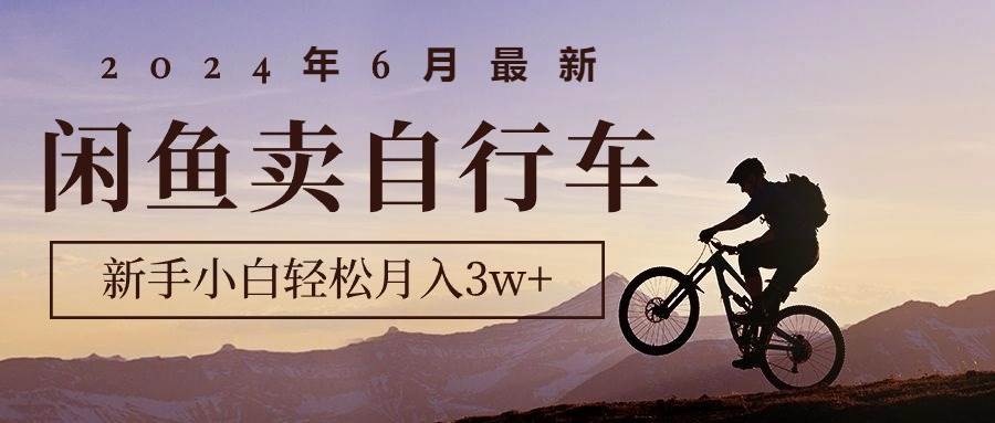 2024年6月最新闲鱼卖自行车，新手小白轻松月入3w+项目-海淘下载站