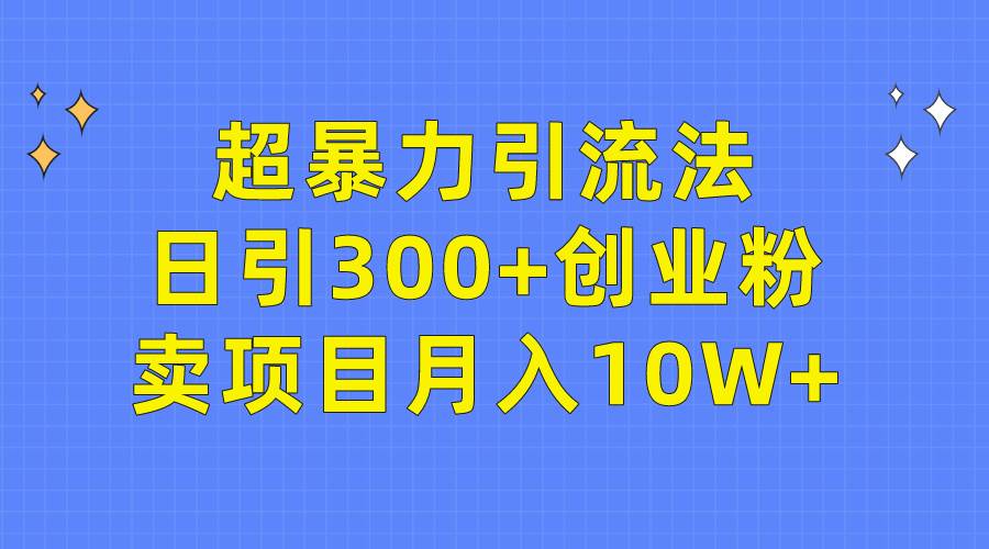 超暴力引流法，日引300+创业粉，卖项目月入10W+-海淘下载站