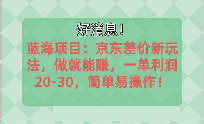 越早知道越能赚到钱的蓝海项目：京东大平台操作，一单利润20-30，简单…-海淘下载站